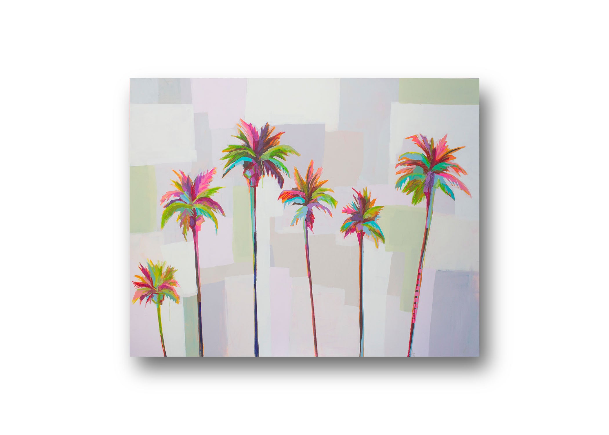 Palm trees 1